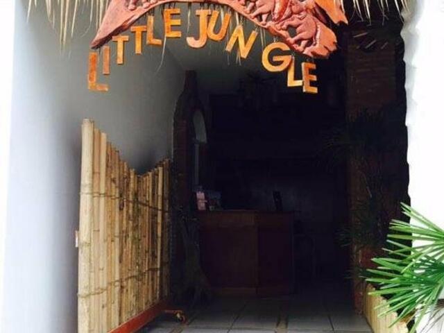 фотографии Little Jungle Resort изображение №12