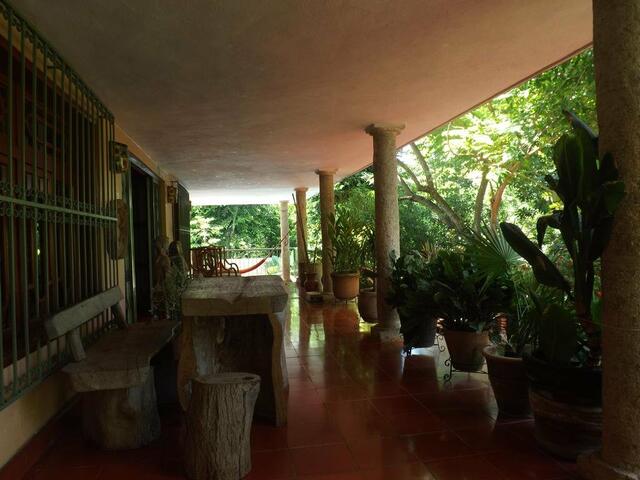 фотографии отеля Casa Hamaca Guesthouse изображение №35