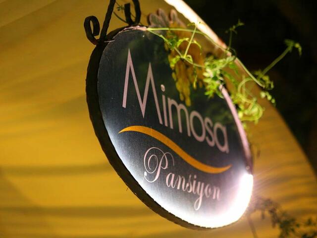 фотографии Mimosa Pension изображение №12