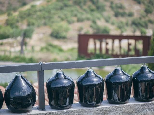 фото Sa Perafita - Celler Martín Faixó изображение №26