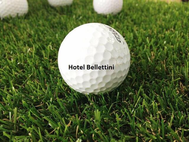 фотографии отеля Bellettini Hotel изображение №31