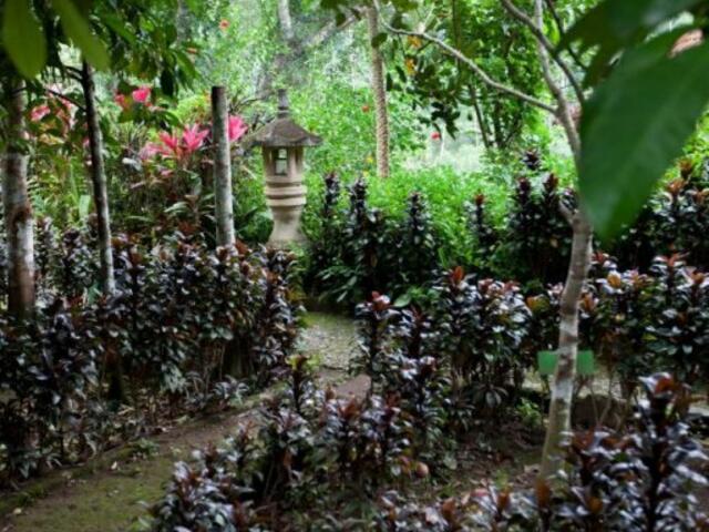 фото Bali Eco Adventure & Retreat Center изображение №2