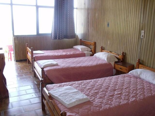 фото Pink Palace Hostel изображение №14