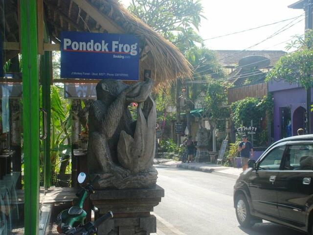 фотографии Pondok Frog Guest House изображение №8