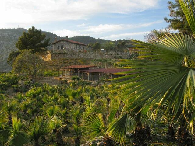 фото отеля Palm House Dalyan изображение №5