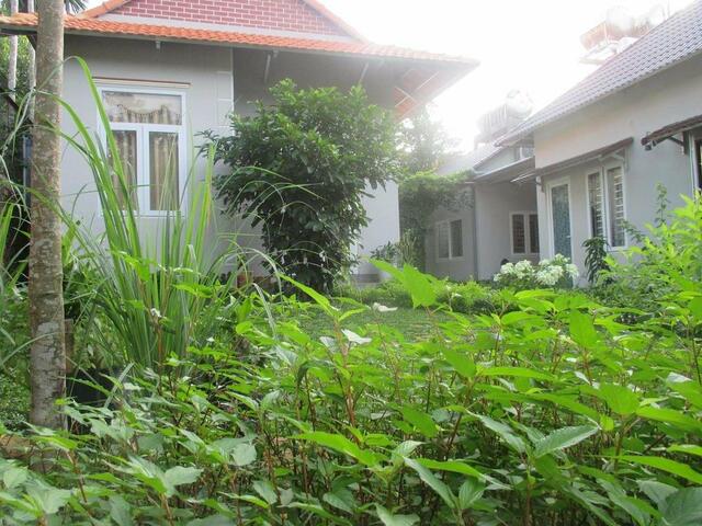 фото отеля Bungalow Ngoi Sao Tim изображение №17