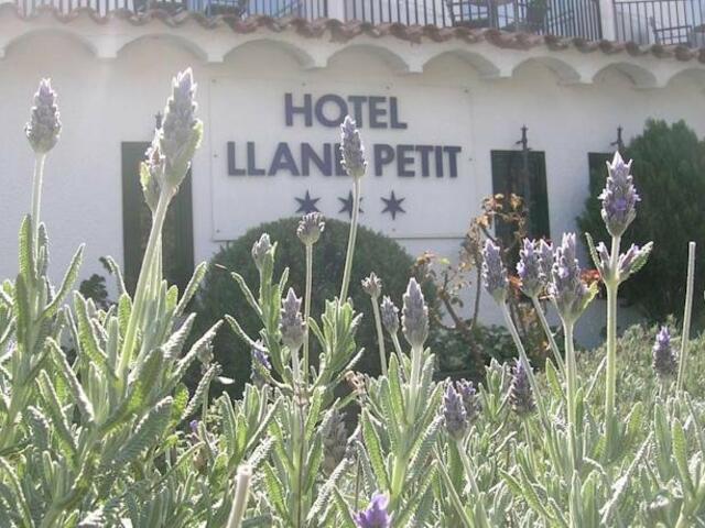 фотографии отеля Hotel Llane Petit изображение №15