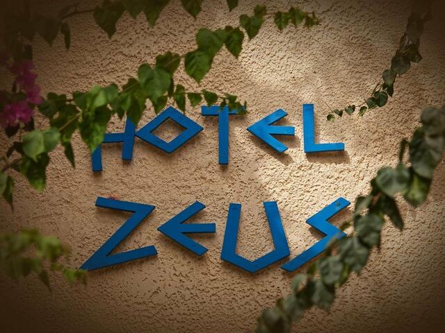 фото отеля Hotel Zeus изображение №13