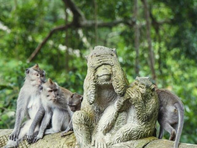 фото ZEN Rooms Ubud Monkey Forest 4 изображение №2