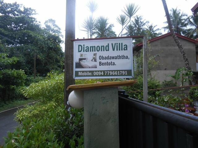 фото Diamond Villa изображение №10