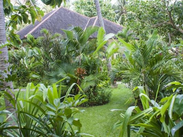 фотографии отеля Villa Padma Bali Lovina изображение №3