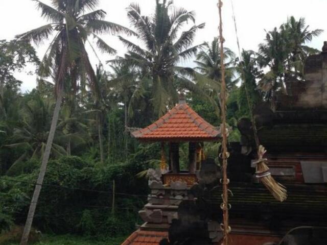 фотографии Ubud Wins Bungalow изображение №4