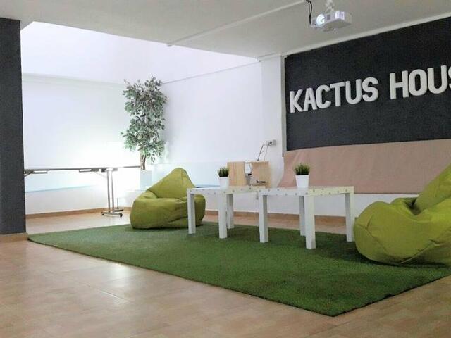 фотографии отеля Kactus House La Laguna изображение №19