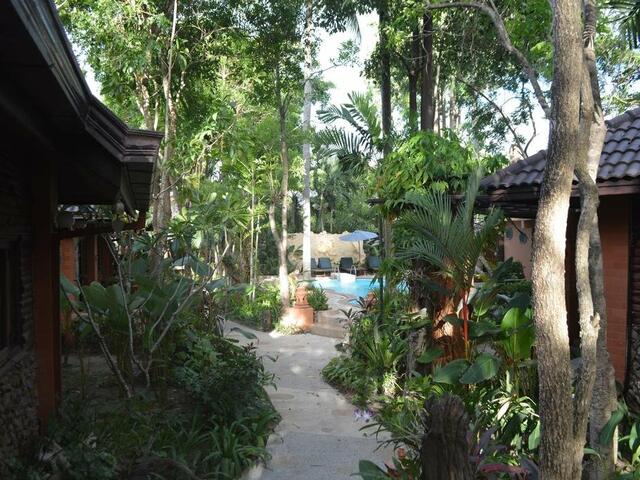 фото Samui Tropical Resort изображение №10