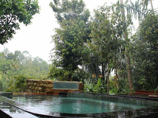 фото отеля Madu Puri Spa Villa изображение №9