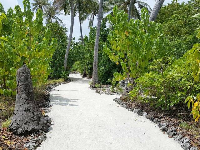 фото Kaafu Inn Guraidhoo изображение №2