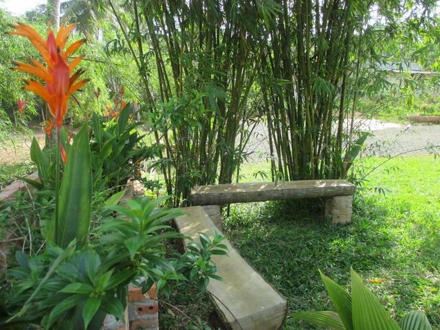фотографии отеля Bamboo Garden Resort изображение №7