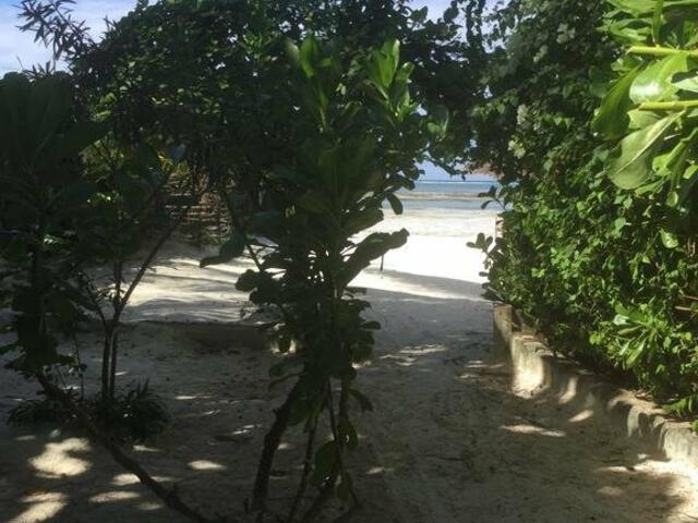 фотографии отеля Helwa Zanzibar Beach Bungalows изображение №7