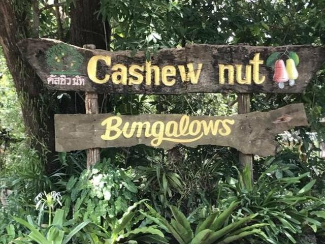 фото Cashew nut Bungalows изображение №6