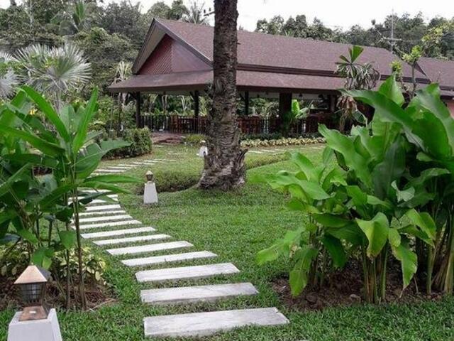 фотографии отеля Palm Kiri Resort изображение №3