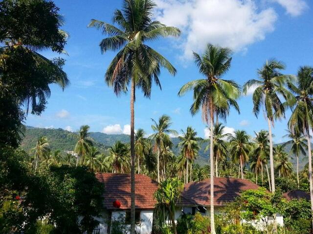 фото отеля Tropical Season Villa Resort изображение №13