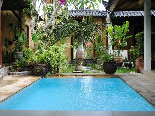 фотографии отеля Villa Baliku - everyone's favourite изображение №11