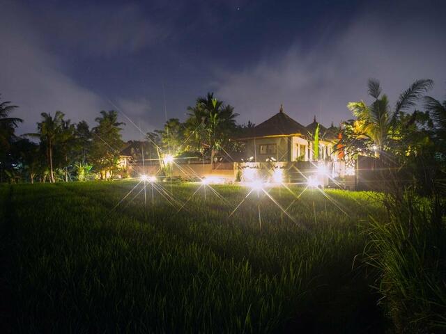 фото Ubud Luwih Villa изображение №14