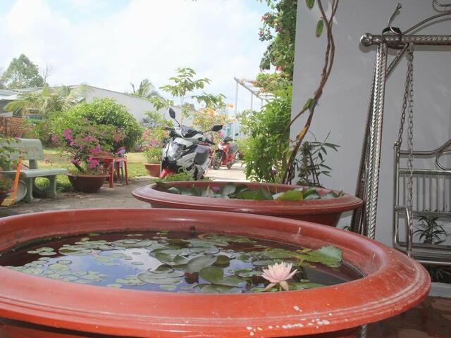 фото отеля New Day Phu Quoc Guesthouse изображение №21