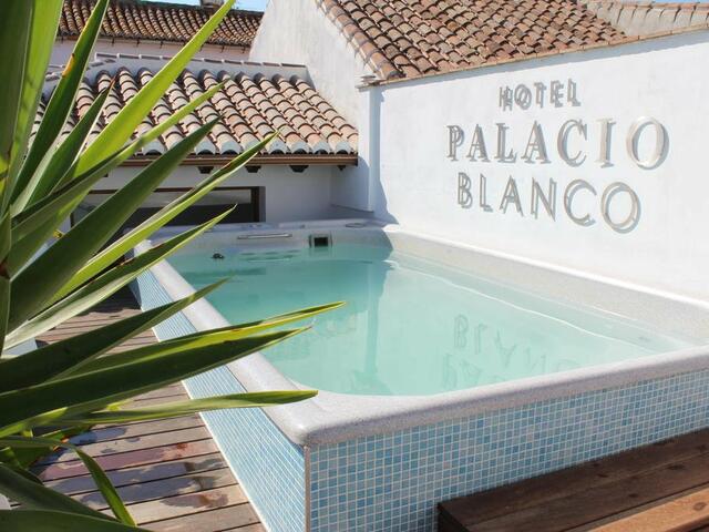 фотографии Hotel Palacio Blanco изображение №8