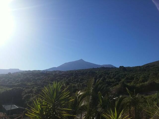 фотографии Ecolodge Tenerife изображение №16