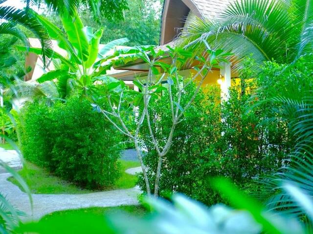 фото The Nature House Aonang Krabi Thailand изображение №14