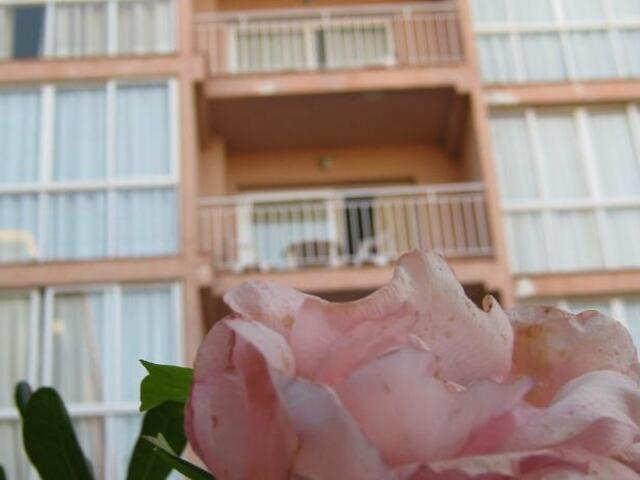 фото отеля El Velero Apartments изображение №13