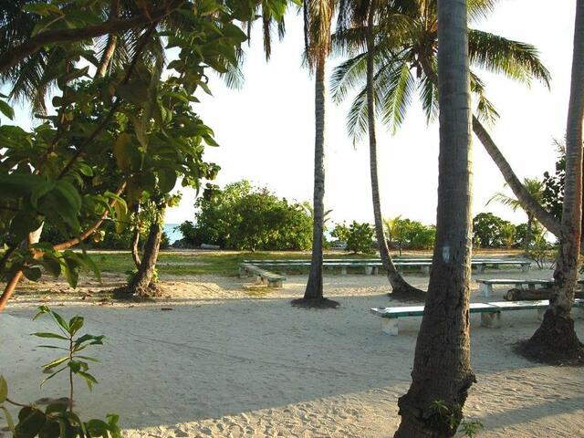фотографии отеля Vaali Beach & Dive Lodge Maldives изображение №27