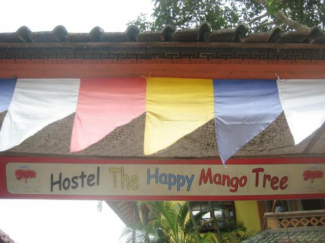фотографии The Happy Mango Tree - Hostel изображение №16
