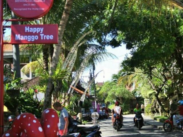 фотографии The Happy Mango Tree - Hostel изображение №4