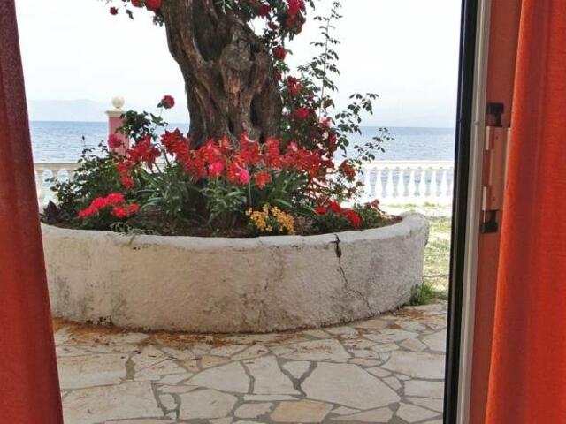 фотографии отеля Apartments Corfu Sun Sea Side изображение №19