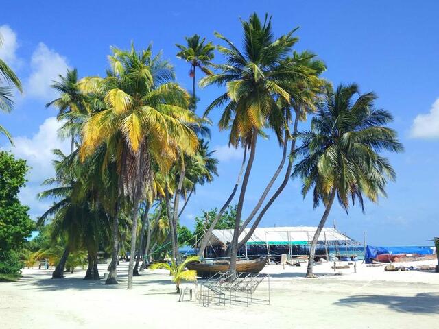 фото отеля Feridhoo Inn изображение №1