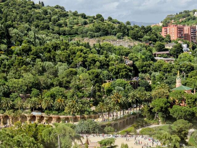 фото Large Guell Apartments изображение №2