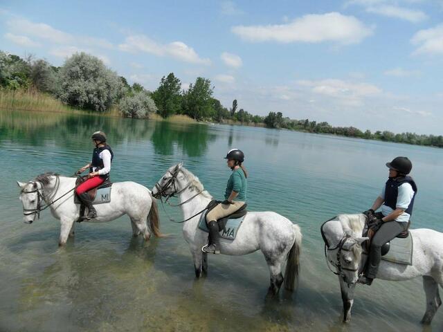 фотографии отеля Szerval Horse Riding Holidays изображение №7