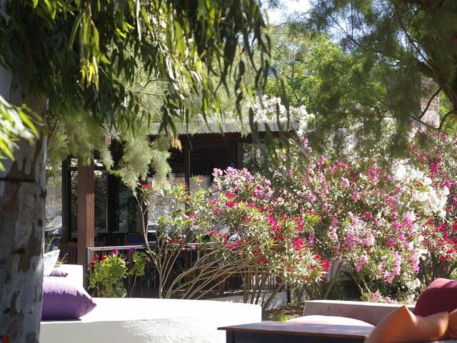 фото отеля Arriba Pension & Restaurant изображение №5