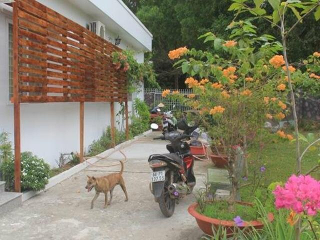 фотографии New Day Phu Quoc Guesthouse изображение №20