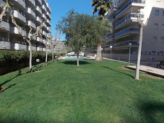 фотографии отеля Residencial Ventura Park / Royal / Jerez изображение №3
