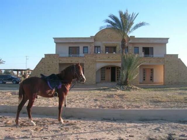 фото отеля Bella Djerba изображение №9