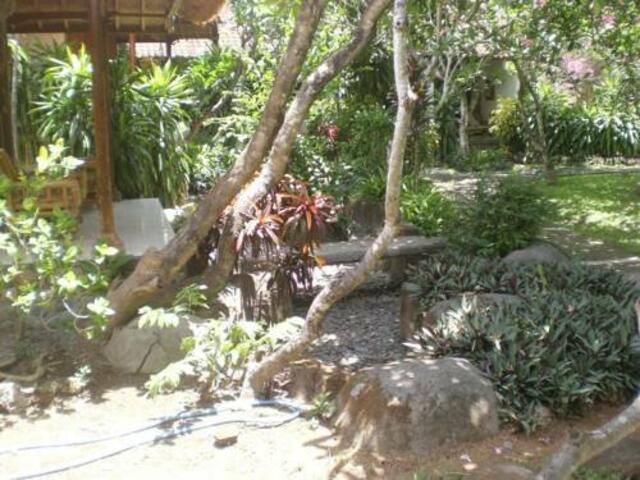 фотографии Bali Kembali Sanur Cottages изображение №4
