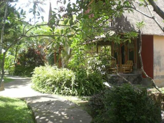 фото отеля Bali Kembali Sanur Cottages изображение №5