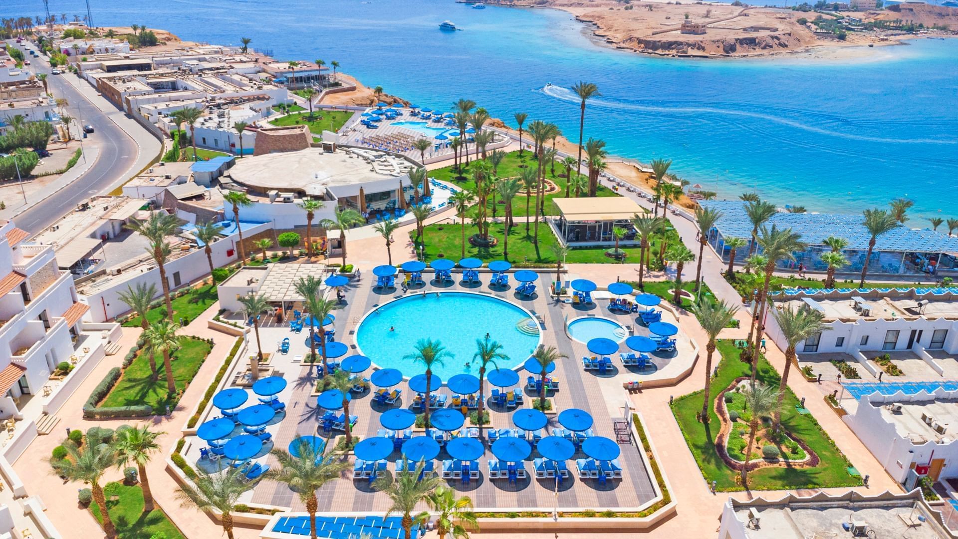 Туры в отель Albatros Sharm Resort 4*, Египет, Шарм-Эль-Шейх — цены и  отзывы 2024 Beach Albatros Resort